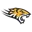 Towson Tigers