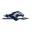Longwood Lancers