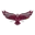 Maryland Eastern Shore Hawks
