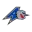 UNC Asheville Bulldogs