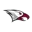 North Carolina Central Eagles