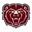Missouri State Bears