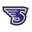 Stonehill Skyhawks