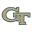 Georgia Tech Yellow Jackets