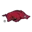 Arkansas Razorbacks
